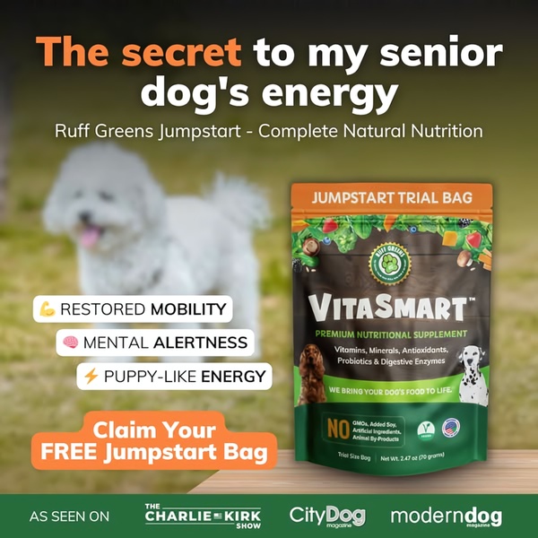 A 1_1 ratio ad showcasing a nutritional supplement bag for senior dogs, highlighting key health benefits like mobility and alertness with social proof badges.